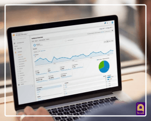 استفاده از ابزارهای آنالیز ورودی وبسایت